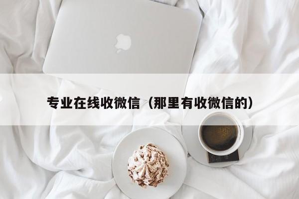 专业在线收微信（那里有收微信的）